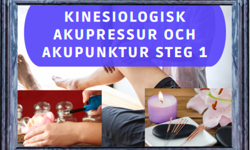 miniatyr för kurs