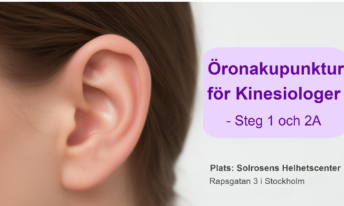miniatyr för kurs